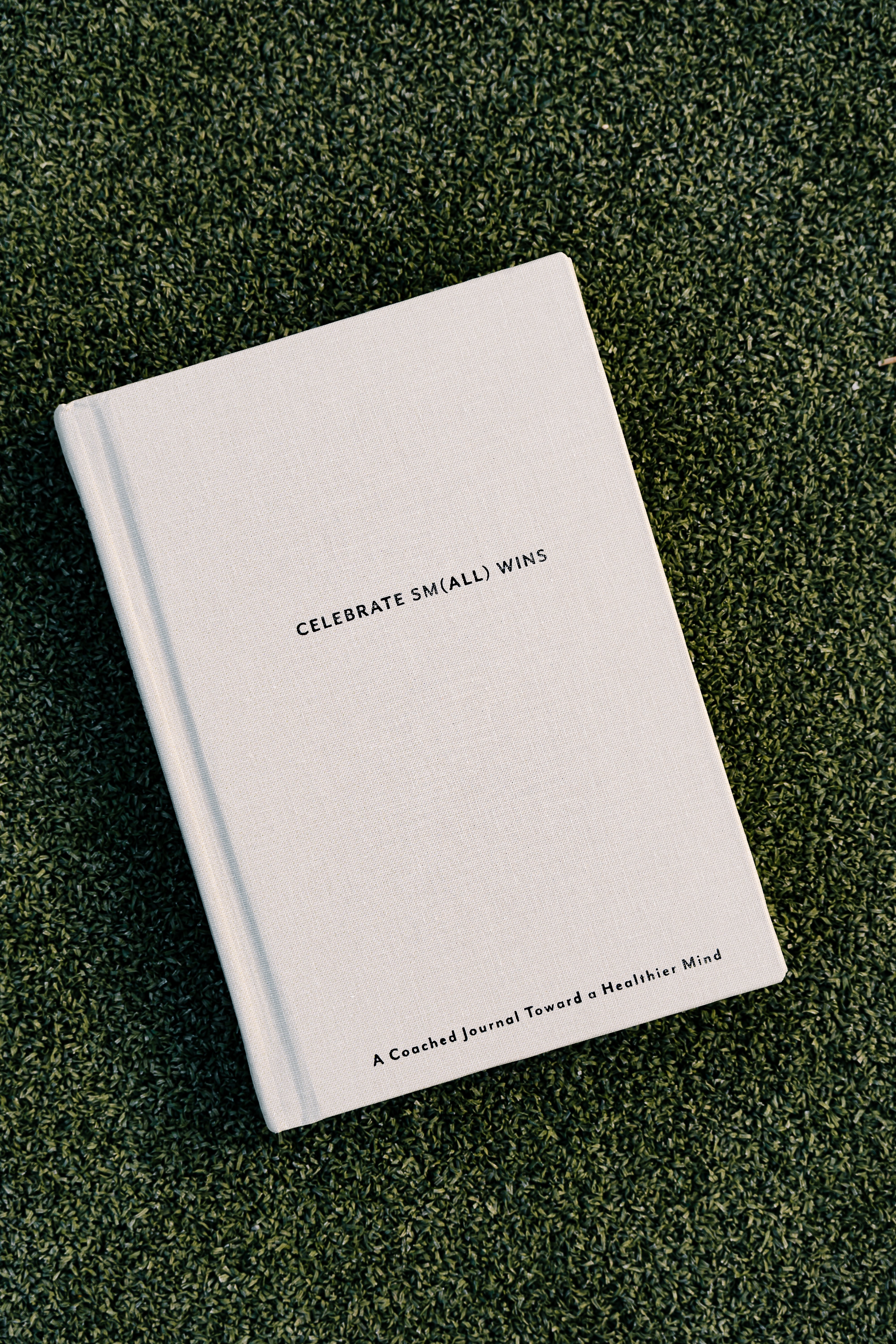 Celebrate Sm(all) Wins Journal - Image 2